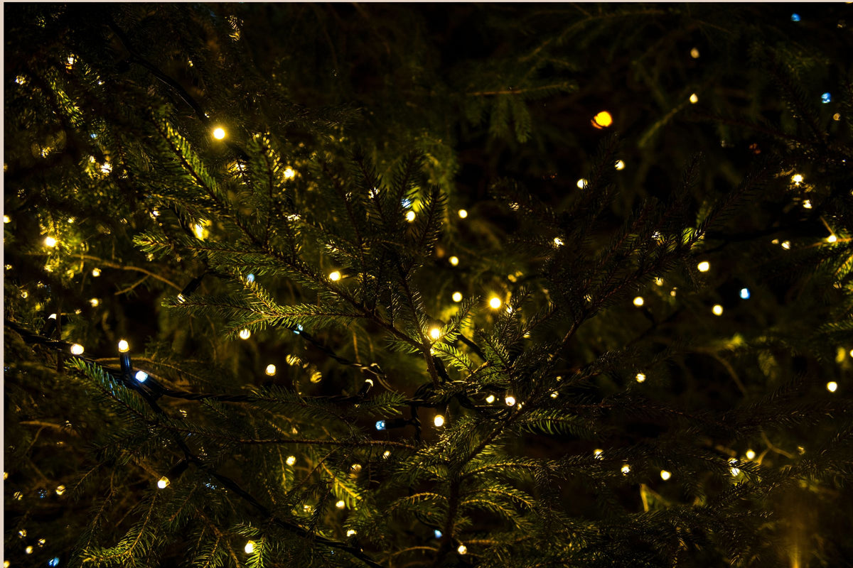 une atmosphère festive sapin